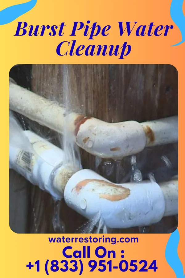 Burst Pipe Water Cleanup in Wrightsville, PA