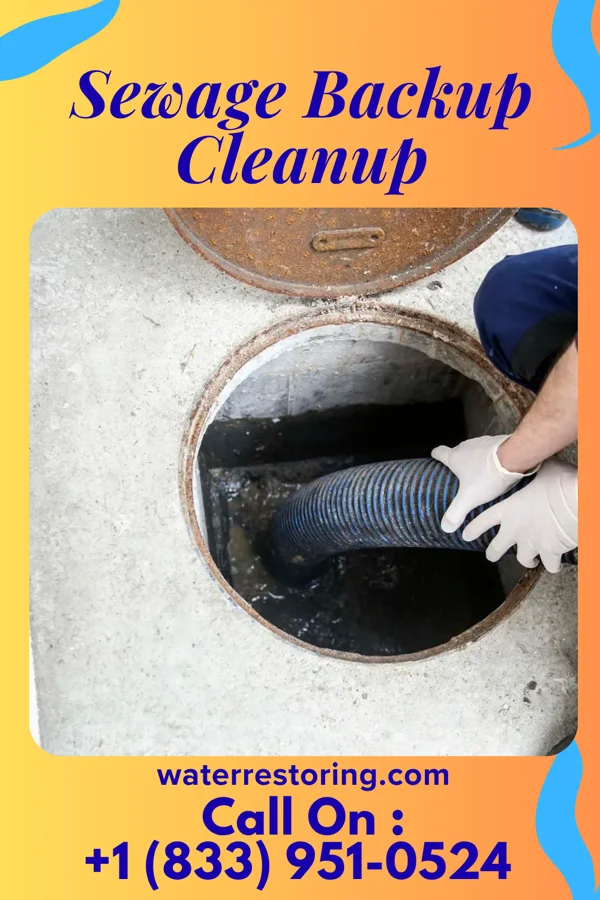 Sewage Backup Cleanup in Wrightsville, PA