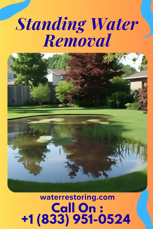 Standing Water Removal in Wrightsville, PA